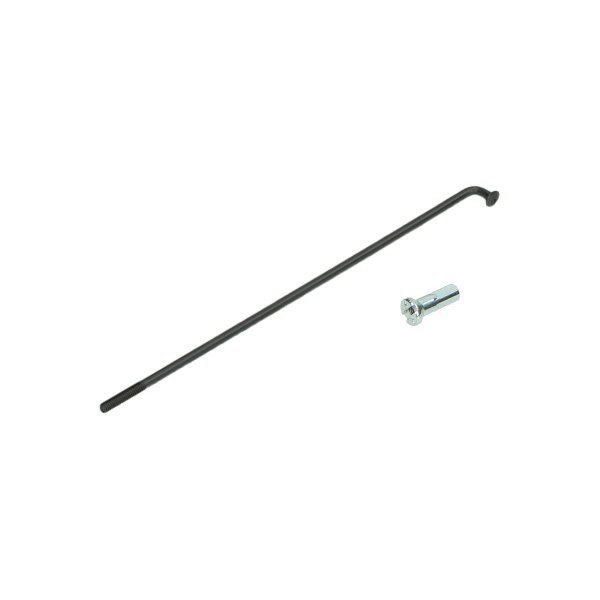 Speiche 237 mm mit Nippel (24")